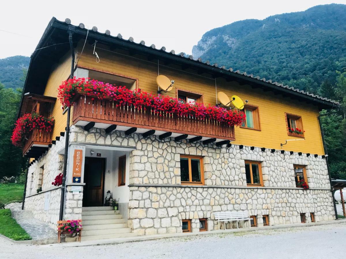House Berdnik Hotel Stahovica Ngoại thất bức ảnh